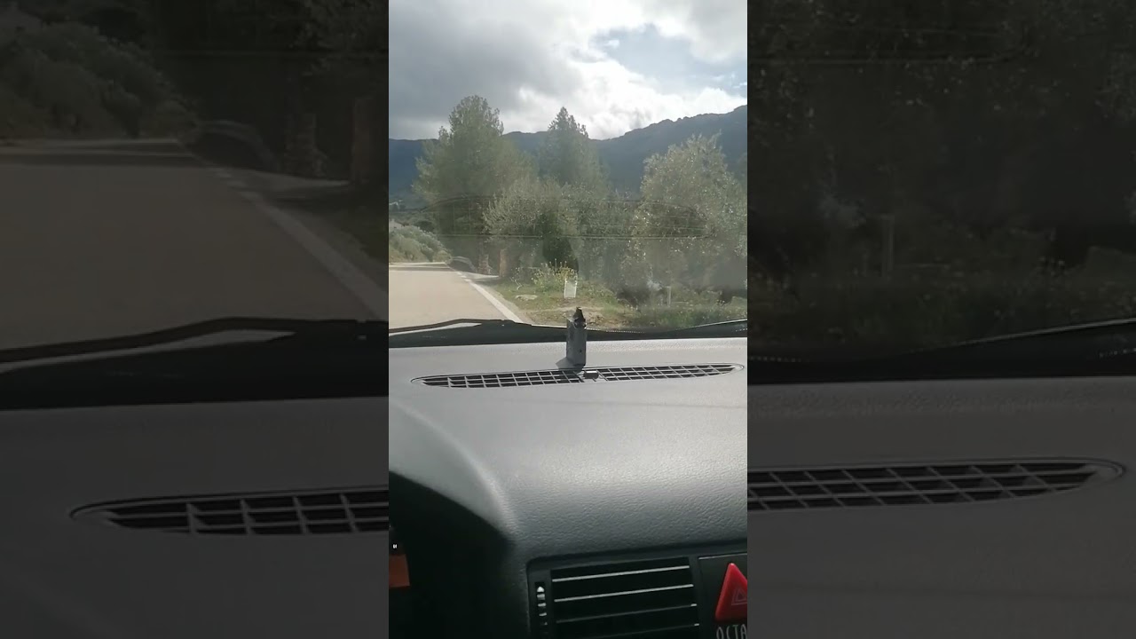 cuando debe ceñirse especialmente al borde derecho de la calzada