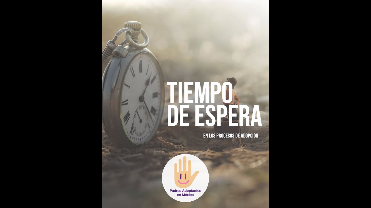 cuanto tarda el proceso de adopcion
