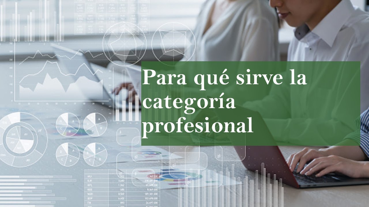 en que afecta la categoria profesional