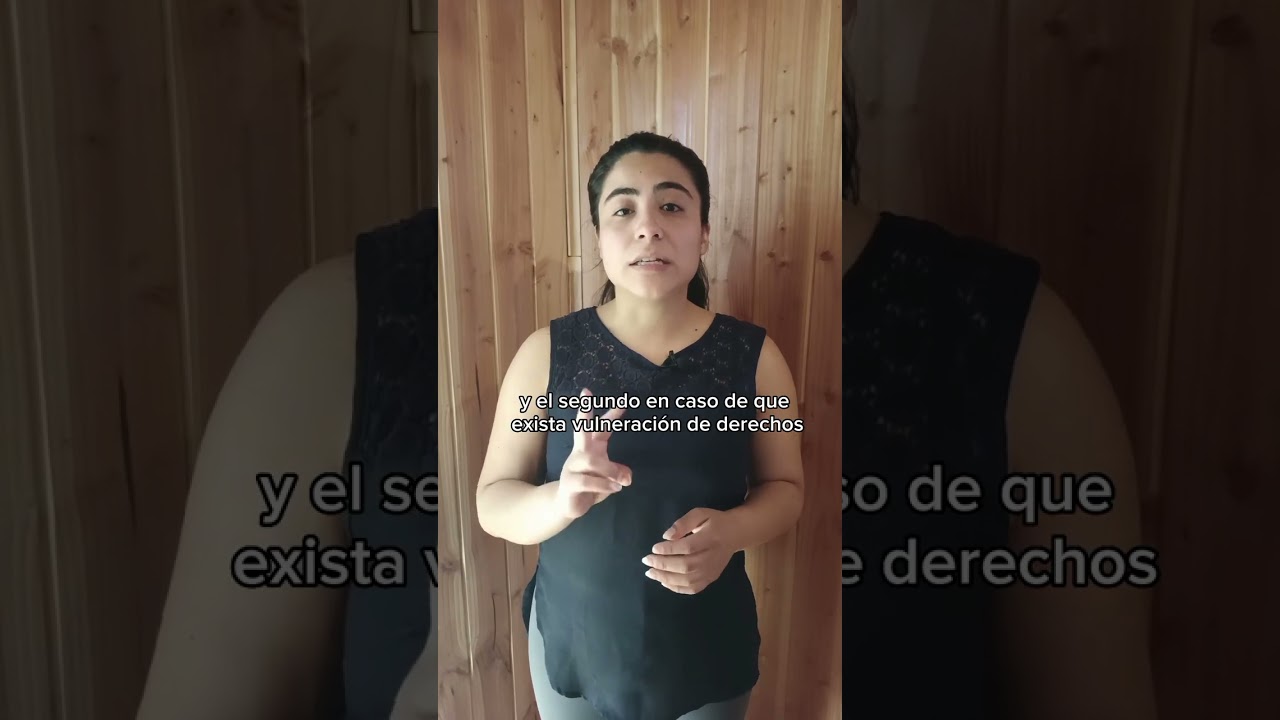 escrito solicitando levantamiento orden de alejamiento