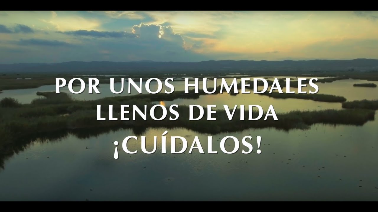 catálogo de zonas húmedas de la comunidad valenciana