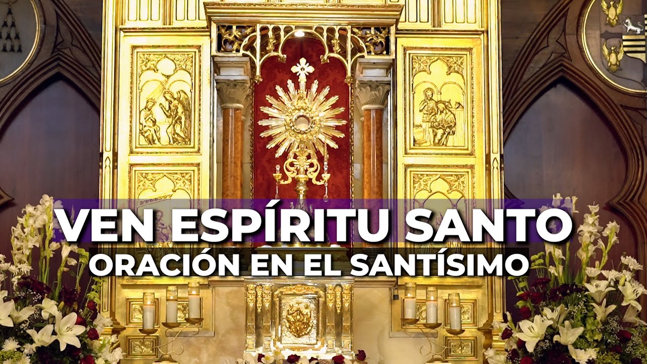 cooperativa santísimo cristo espíritu santo. scclm