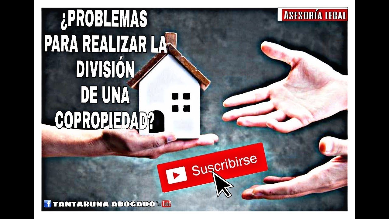 cuanto dura un juicio de división y partición