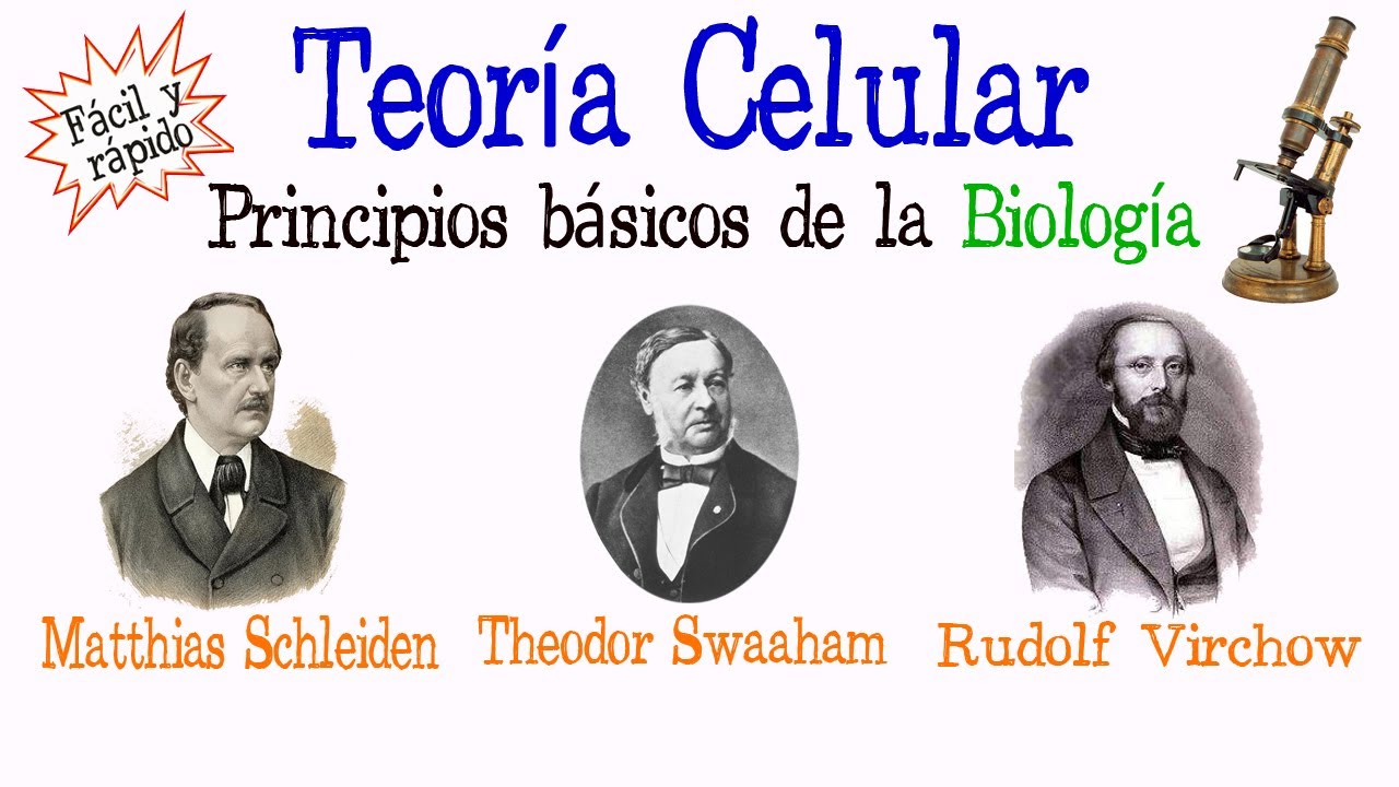 enumere tres principios de la teoria celular