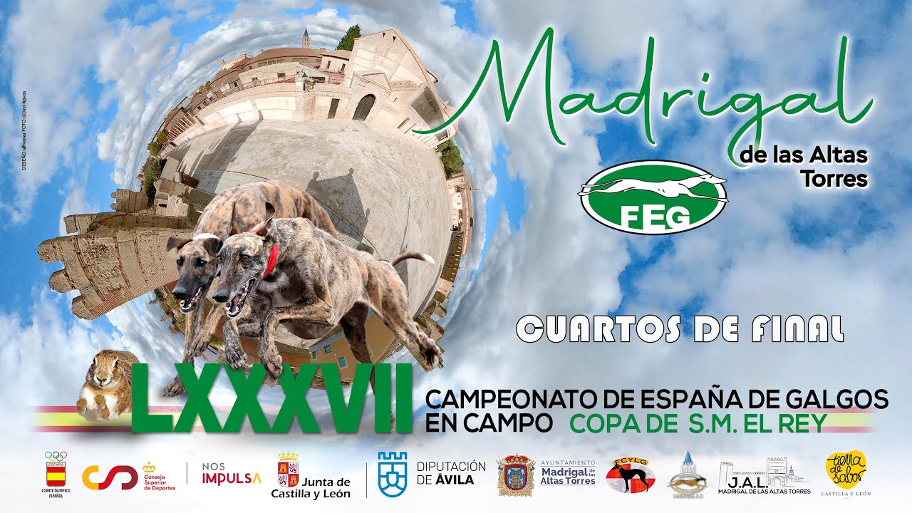 federacion de galgos castilla y leon