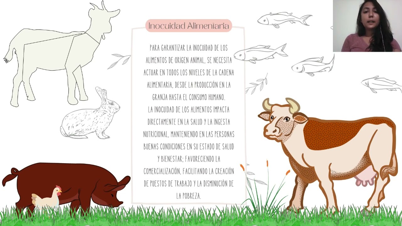 ley 8 2003 de 24 de abril de sanidad animal