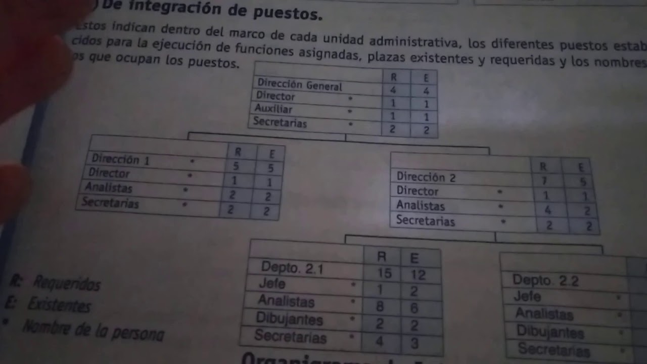 organigrama de puestos plazas y unidades