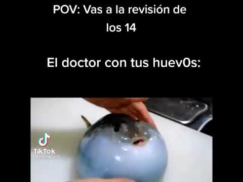 que se hace en la revision de los 14