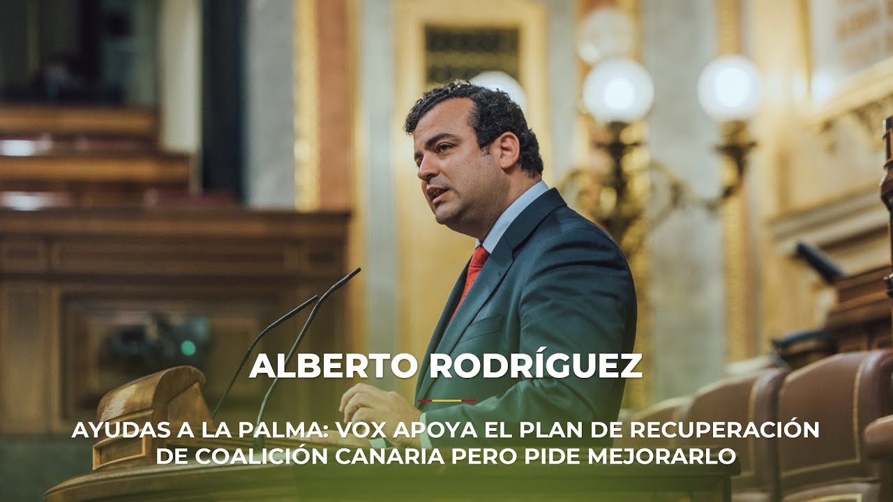 vox vota en contra de las ayudas a la palma