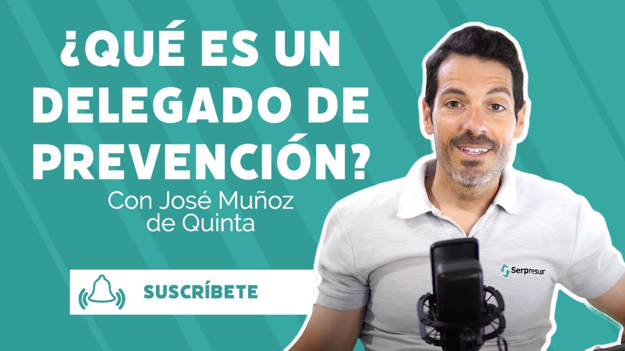 funciones del delegado de prevencion en una empresa