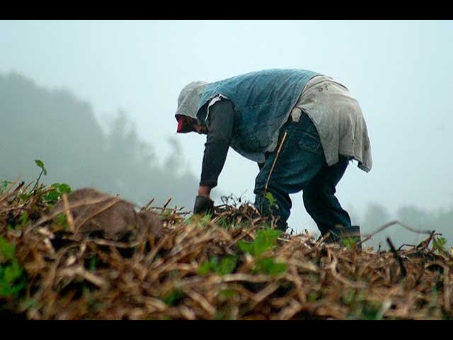 jornada de trabajo en el campo