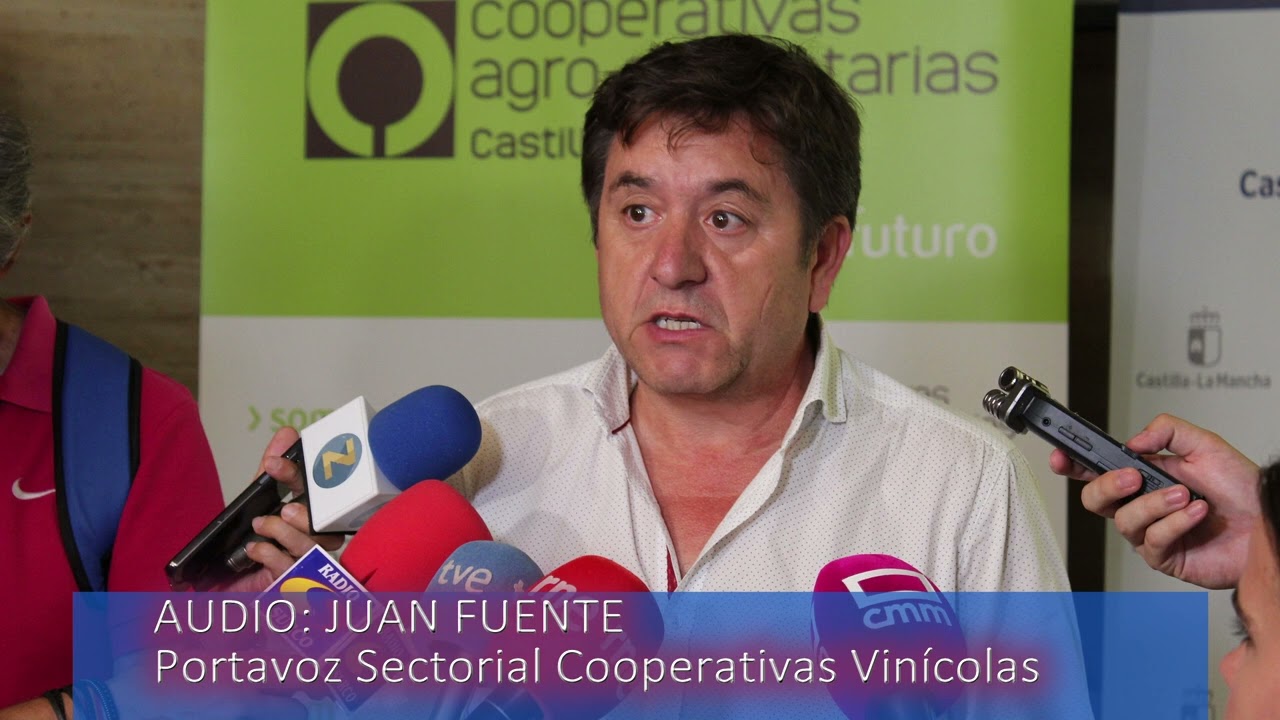 ley de cooperativas de castilla la mancha