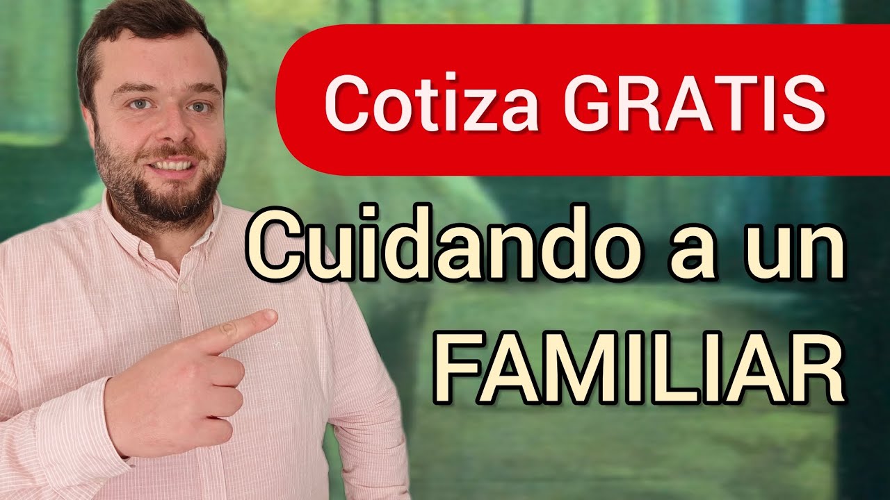 ley de dependencia cuidador no profesional