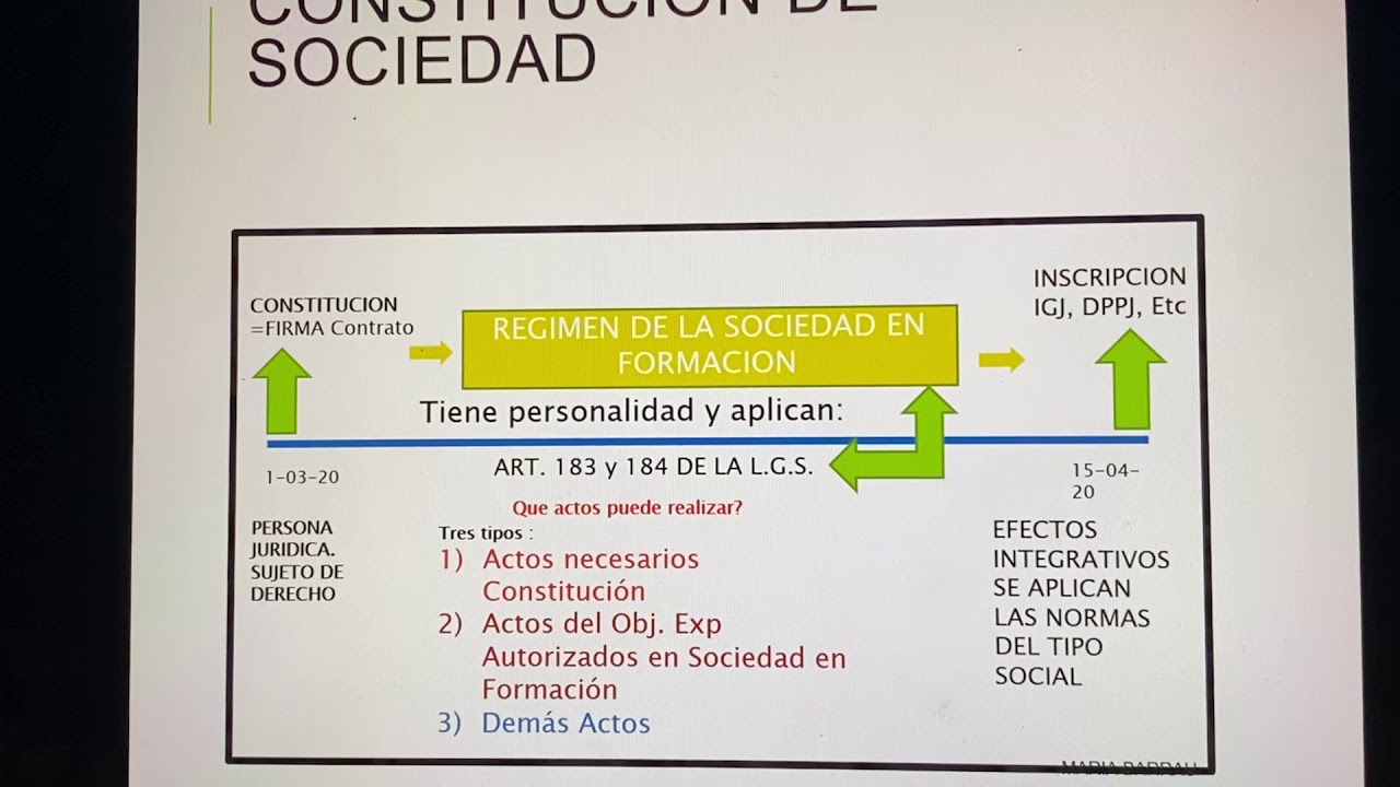 que es una sociedad en formacion