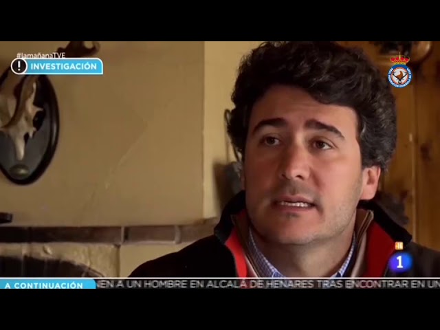 se puede cazar en terrenos libres