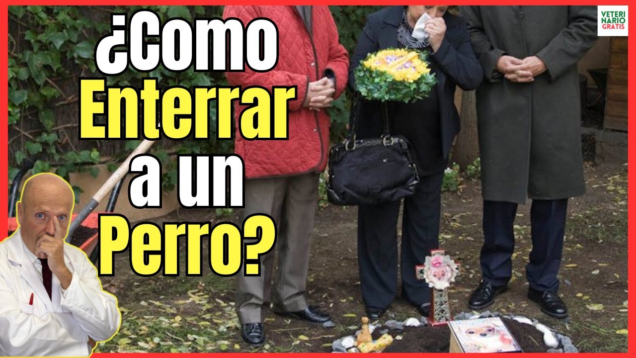 se puede enterrar un perro en el campo