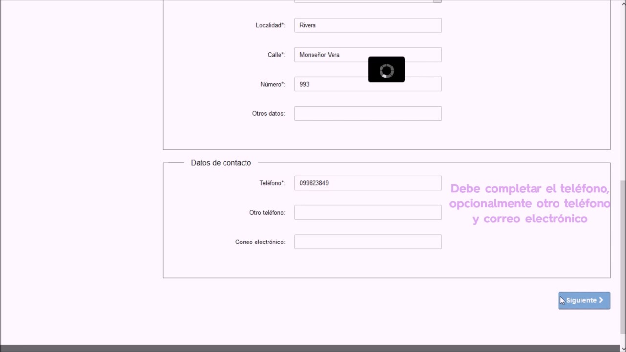 solicitud de cambio de titularidad perro