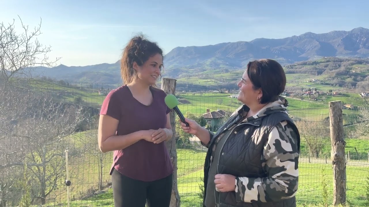 venta de fincas ganaderas en galicia