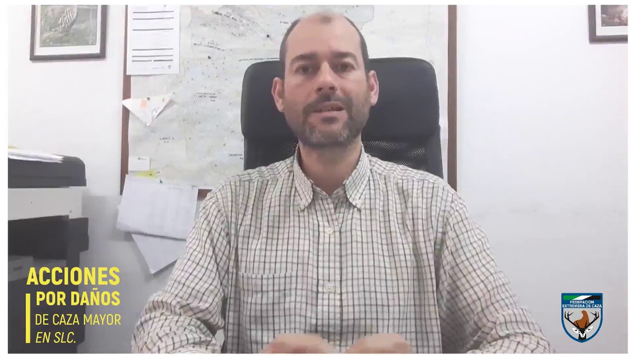 acciones de caza en ciudad real