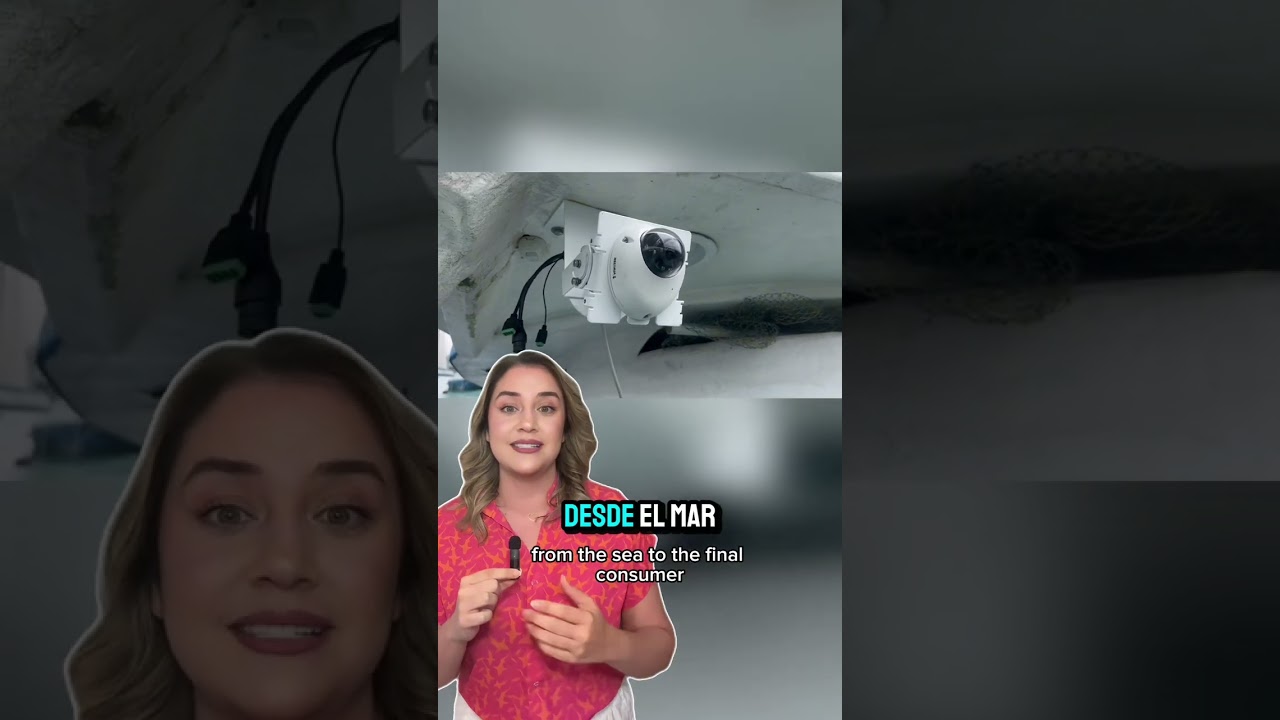 consulta del censo de la flota pesquera operativa