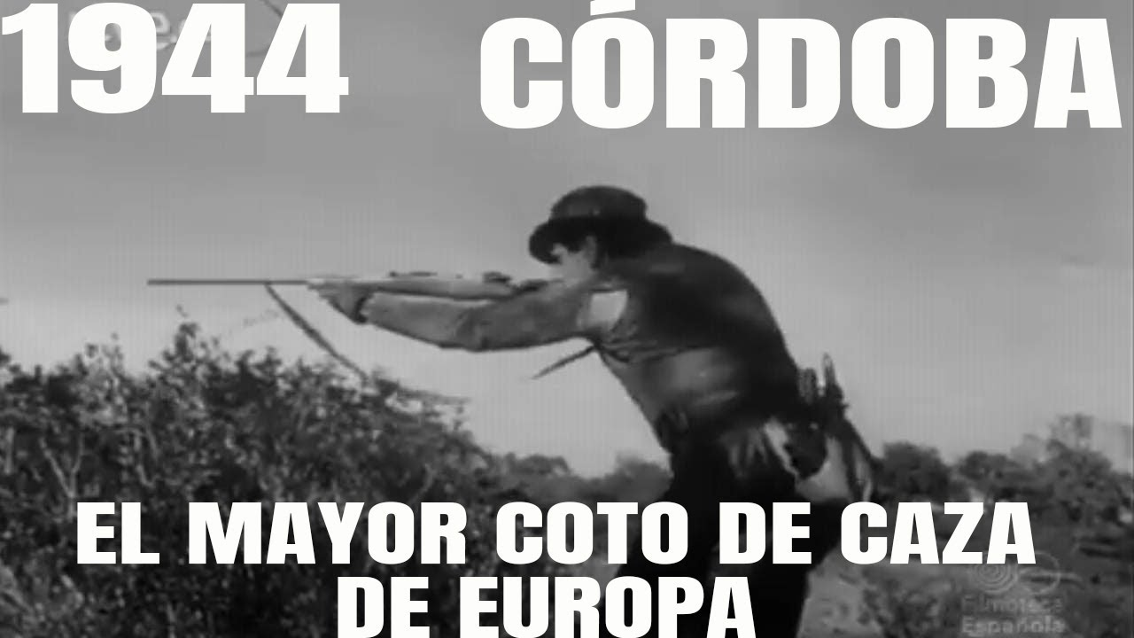 cotos de caza mayor en ciudad real