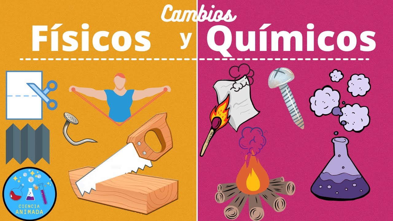 especialista en fenomenos comunes a la fisica y quimica