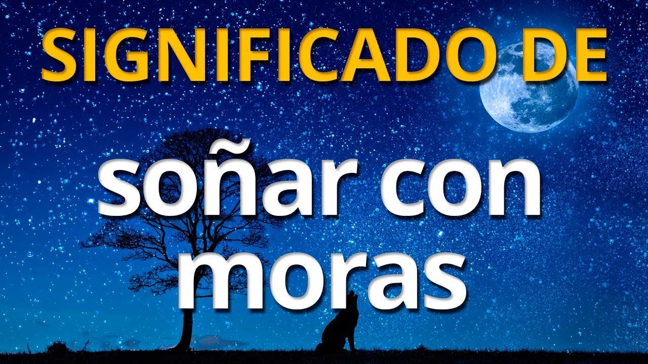 in illiquidis non fit mora significado