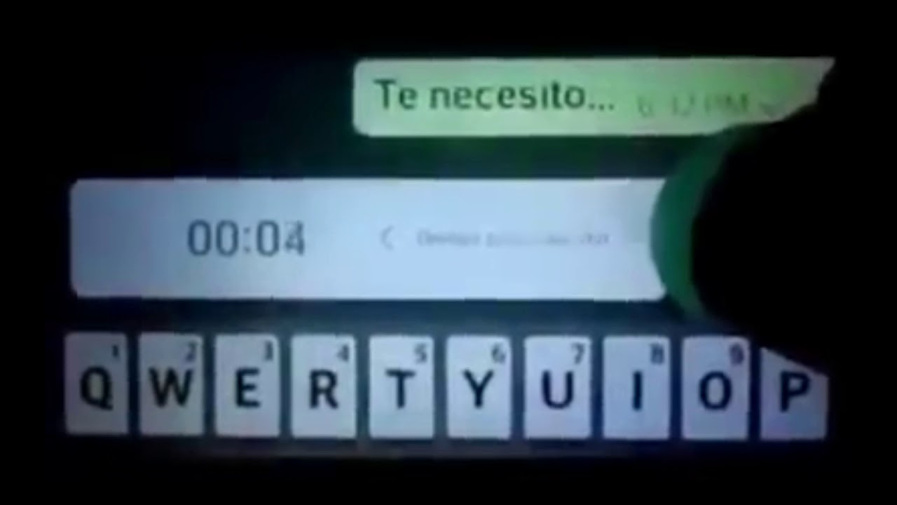 insulto mas largo del mundo letra