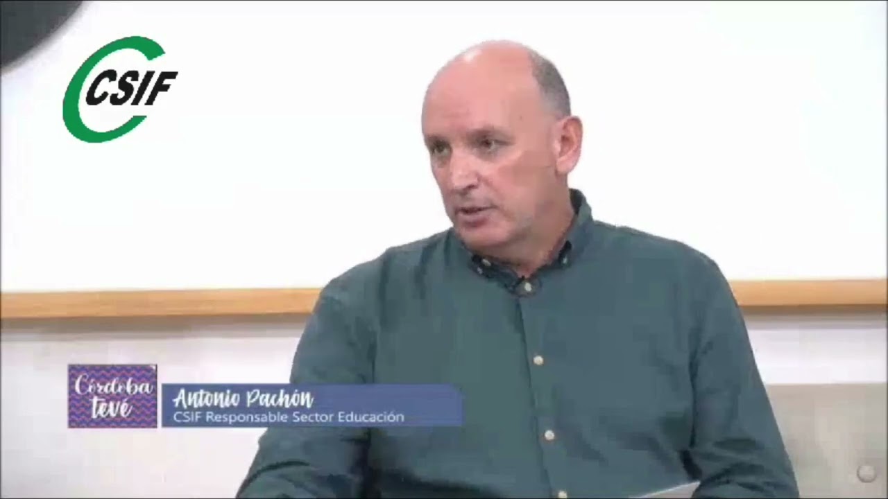 ley de atencion a la diversidad andalucia