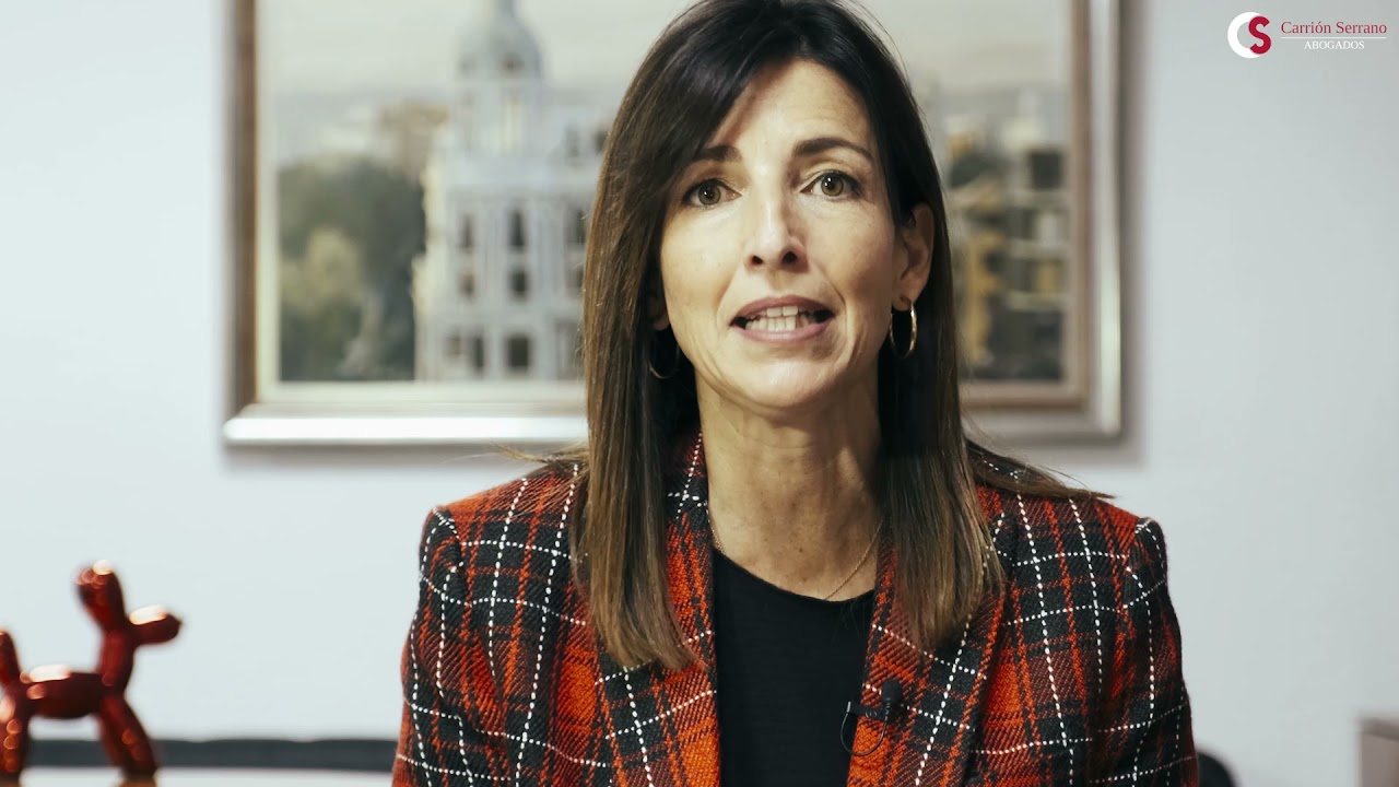 modelo demanda modificación de medidas hijo mayor de edad