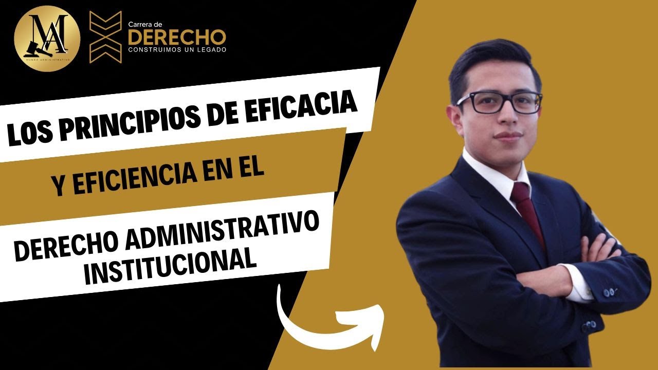 principio de eficiencia en la administracion publica