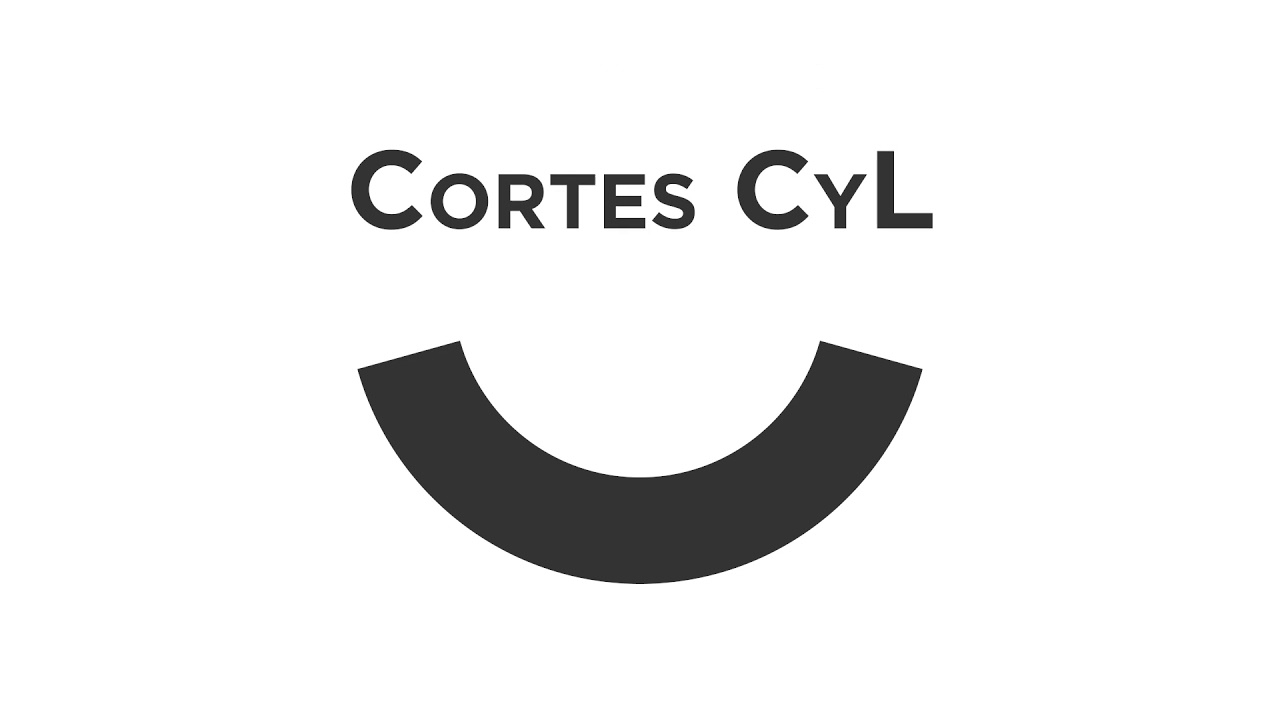 procurador del comun de castilla y leon
