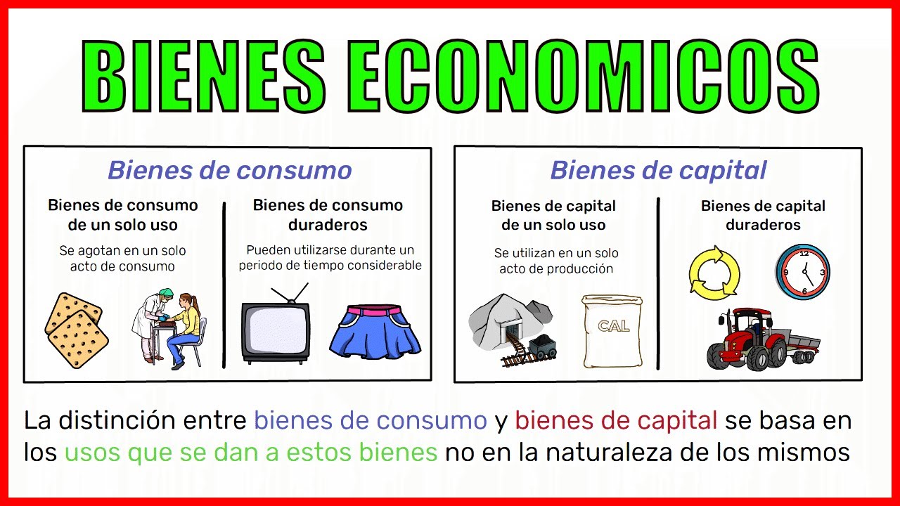bienes que se consumen con su uso