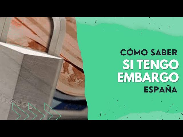 como saber si tengo algun embargo judicial