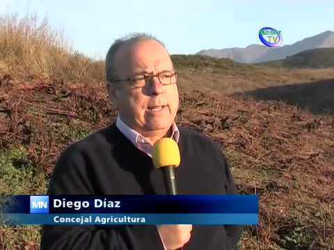 comprar derechos de plantacion de viñedo
