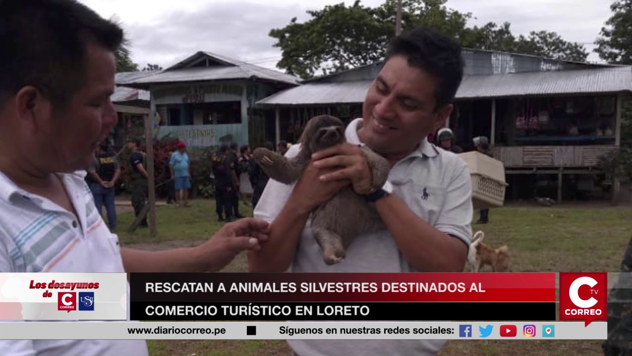 conjunto de animales destinados al comercio