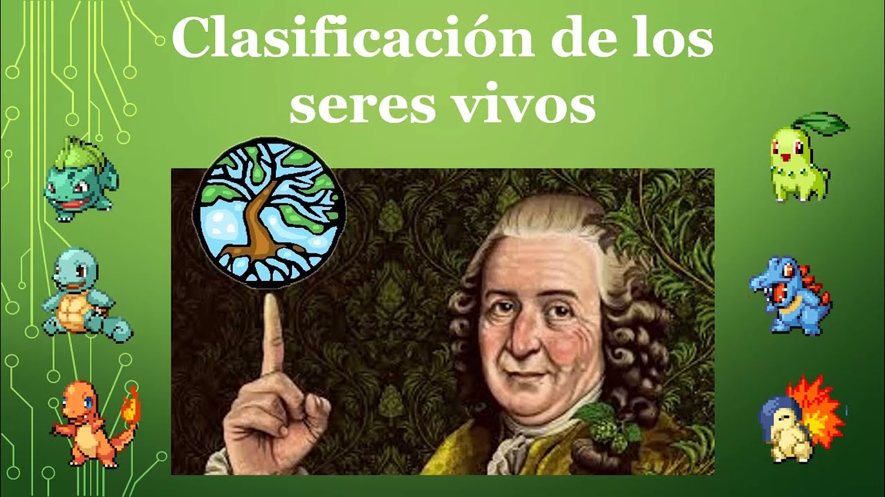 cuál es la clasificación taxonómica del ser humano