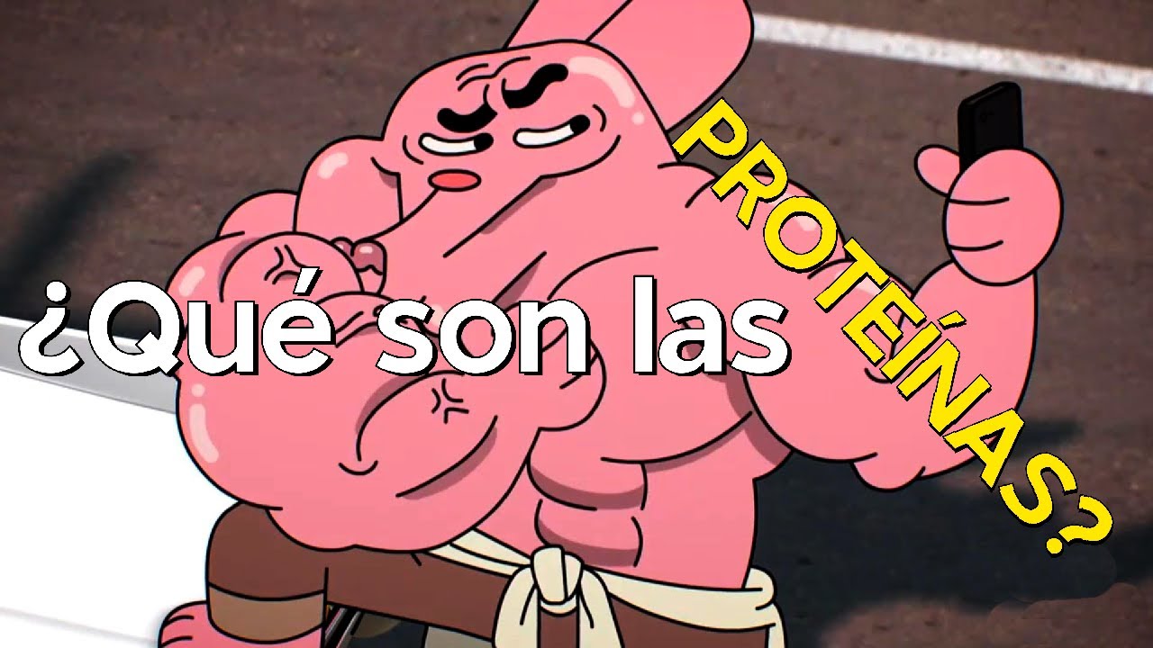 cuales son las principales funciones de las proteinas