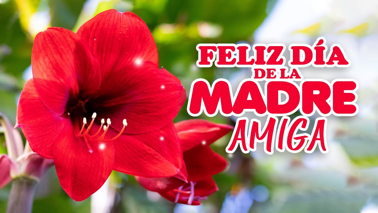 frases cortas de feliz dia delas madres para una amiga