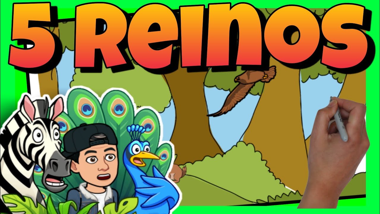 importancia de los reinos de la naturaleza para el hombre