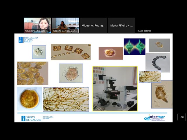 intecmar gal informacion biotoxinas estados zonas informes