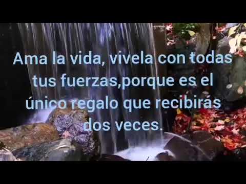 la vida te da la oportunidad de escribir corregir