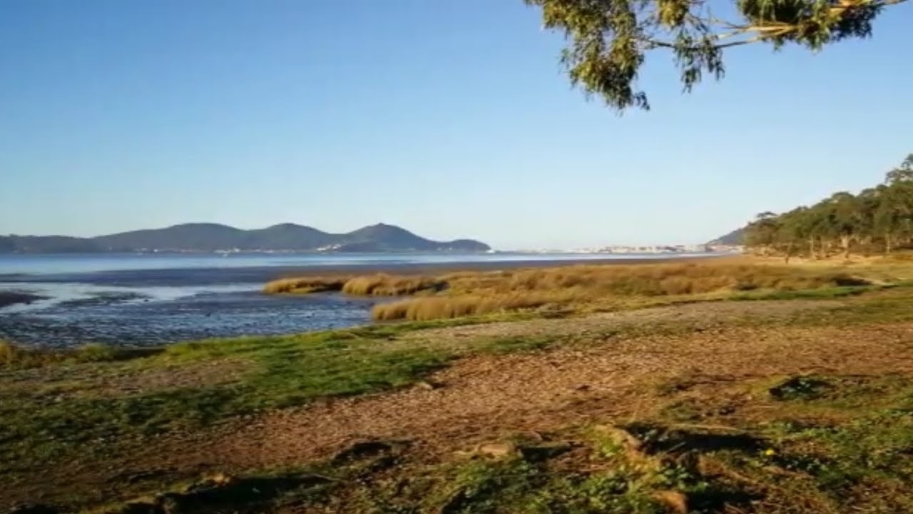 parque natural de las marismas de santoña