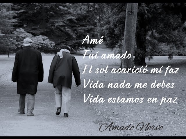 poema de amado nervo vida nada te debo