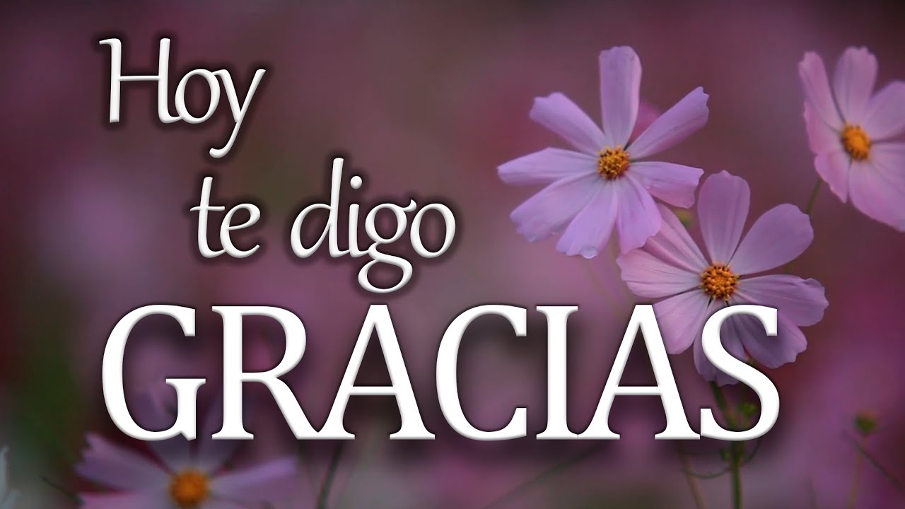 carta de agradecimiento a mis amigos por su apoyo