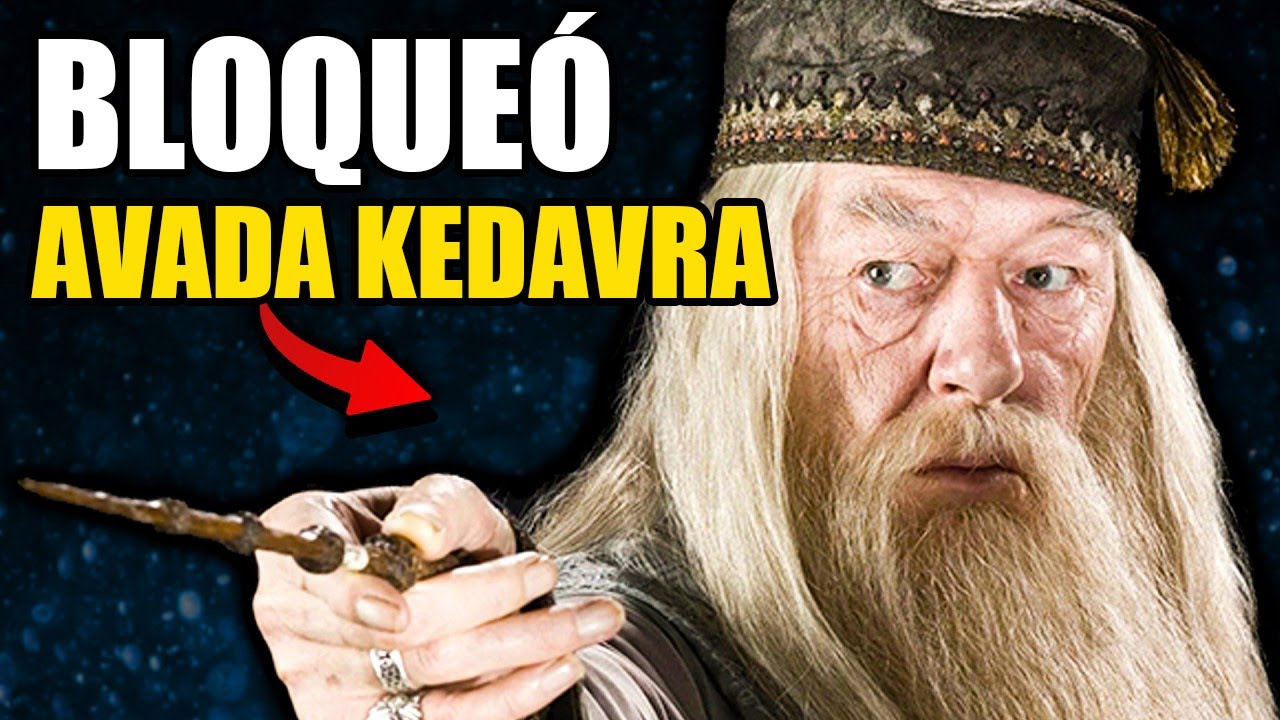 como se les dice a los fans de harry potter
