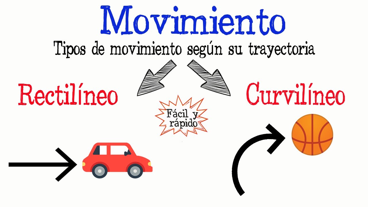 cuales son los objetivos y principios de cada movimiento