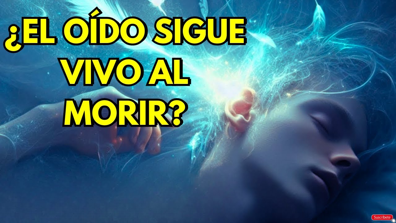 cuanto dura el sentido del oido despues de morir