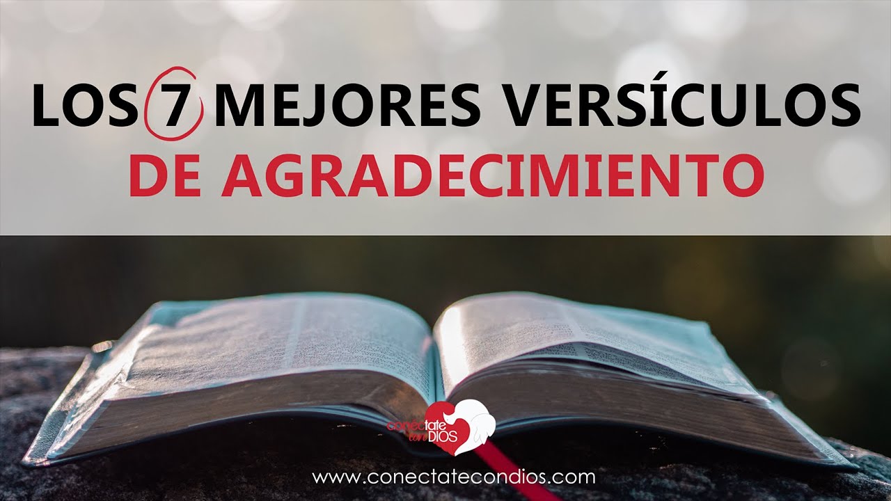 dad gracias a dios en todo tiempo versículo