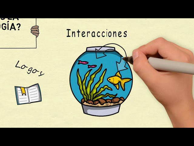 historia de la ecologia concepto division y ciencias auxiliares